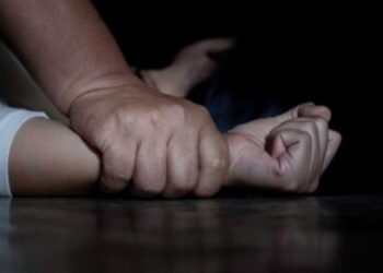 У Синельниковому збоченець  заліз до будинку та розбещував 12-річну дівчинку