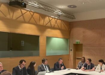 У Кам’янському планують оновити трамвайний парк за допомогою міжнародних партнерів