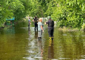 Безвісти зниклими вважаються 27 осіб, – МВС