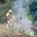 У Дніпрі та області оголошено надзвичайну пожежну небезпеку