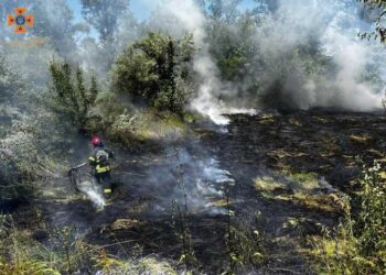 За добу на Дніпропетровщині сталося 23 пожежі в екосистемах