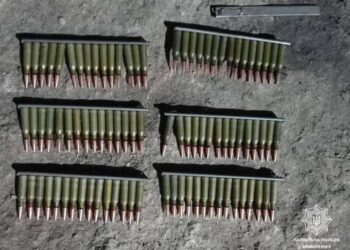 У домашнього тирана з Кривого Рогу виявили схрон набоїв