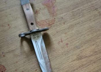 У Кам’янському господар пирнув ножем свого гостя