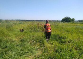 У Павлограді знайшли мертвою літню жінку, яку розшукували протягом тижня