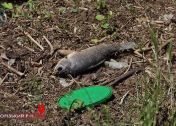 Мор риби та перебої з водопостачанням – як у Криворізькому районі борються з екологічним лихом