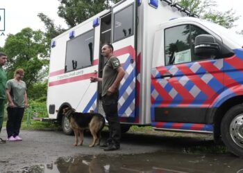 У Дніпрі працює спеціальний автомобіль для стерилізації безпородніх хатніх собак