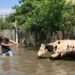Зруйновані домівки, загиблі тварини та евакуація з Херсону. Наслідки підриву Каховської ГЕС