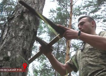 Фахівці оцінюють ліс – як у нас досліджують насадження, що проходить один раз на 10 років