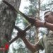 Фахівці оцінюють ліс – як у нас досліджують насадження, що проходить один раз на 10 років