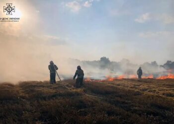 У Криворізькому районі під час пожежі на полі постраждав фермер