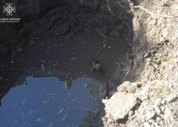 Хвилинка доброти: у Дніпрі врятували цуценя, яке впало в яму з водою