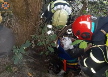 У Павлограді із півтораметрової  пастки звільнили містянина