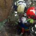 У Павлограді із півтораметрової  пастки звільнили містянина