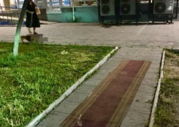 У Дніпрі серед вулиці помітили червону килимову доріжку
