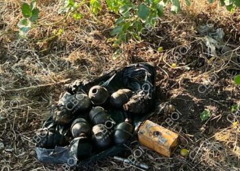 У ставку Кривого Рогу знайшли близько десяти гранат