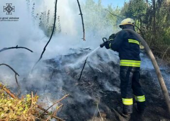 На Дніпропетровщині за тиждень вогнем знищено 153 га території