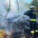 На Дніпропетровщині за тиждень вогнем знищено 153 га території