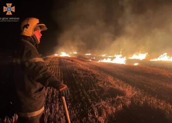 За добу сталася 61 пожежа в екосистемах області