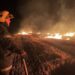 За добу сталася 61 пожежа в екосистемах області