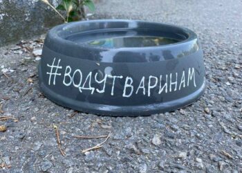 Порятунок чотирилапих від спеки: на вулицях Дніпра волонтери встановлюють поїлки для тварин