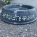 Порятунок чотирилапих від спеки: на вулицях Дніпра волонтери встановлюють поїлки для тварин