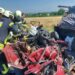 У Синельниківському районі сталася смертельна ДТП