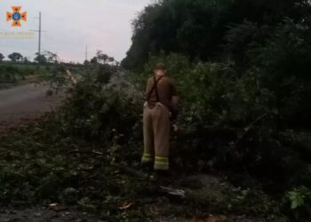 Надзвичайники Дніпропетровщини ліквідовували наслідки негоди