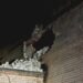 Вночі Дніпропетровщину атакували ворожі безпілотники: пошкоджене комунальне підприємство