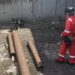 У Дніпрі з котловану визволили собаку