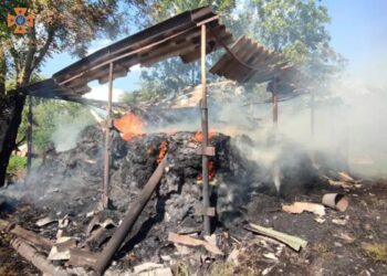 У Криворізькому районі на пожежі постраждала літня жінка