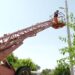 Старі лампи замінили на LED-світильники
