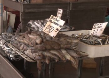 Табу на продаж риби з небезпечних регіонів. Чи продають на ринках Дніпра заборонену рибу?