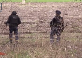 З початку поточного року в області знешкоджено півтисячі боєприпасів