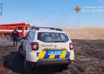 З початку року пожежі пошкодили більше 800 гектарів екосистем