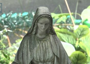 Забронювати місце на кладовищі – боротьба з «цвинтарною мафією» чи новий виток корупції?