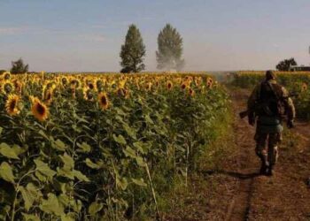 Кам’янчанам пропонують долучитись до артчеленджу «Сонях пам’яті»