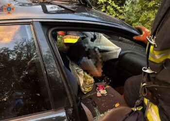 ДТП у Дніпровському районі: автівка влетіла у дерево