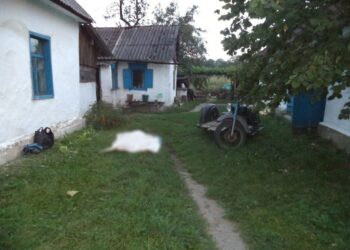 У Дніпрі затримали жінку за вбивство співмешканця