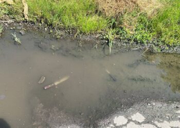У Павлограді стався розбійний напад на родину