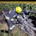 Смертельна ДТП на Павлоградщині: рятувальники вирізали фрагмент тіла водія з потрощеної автівки