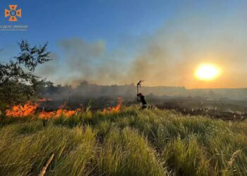 За минулу добу на Дніпропетровщині вигоріли 110 гектарів екосистеми