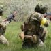 На Дніпропетровщині стартують чотириденні військові навчання: може бути гучно