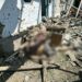 Вранці на Херсонщині окупанти вбили 6 людей, серед них майже однорічна дитина