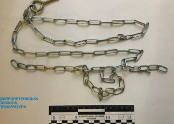 Перед судом постане нелюд з Нікополя, який катував та тримав на ланцюгу 5-річного пасинка