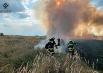 Протягом тижня на Дніпропетровщині ліквідовано 327 пожеж в екосистемах