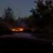 Через ворожі обстріли в Марганецькому лісництві вигоріло понад 15 гектарів