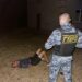 У Новомосковську затримали нічних грабіжників