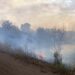 У Дніпрі та області оголошено  надзвичайну пожежну небезпеку