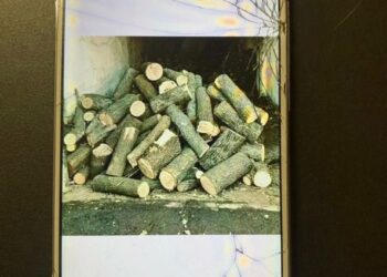 У Кривому Розі в’язень продавав неіснуючі дрова