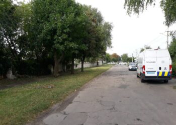 У П’ятихатках в кущах знайшли тіло 16-річної дівчини: розшукують вбивцю